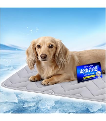 Amazon.co.jp: cani.cool(カニクール) クーリングマット グレイ L